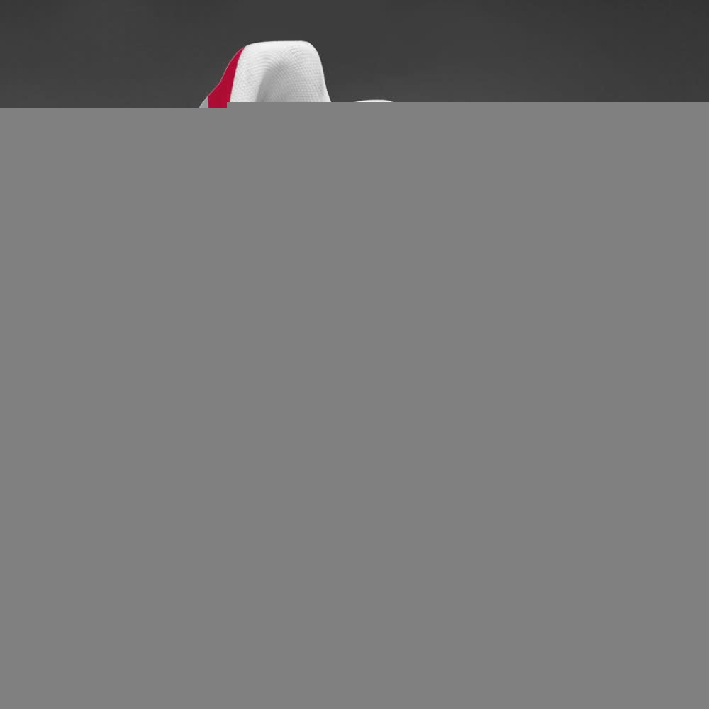 Ohio State Buckeyes NCAA Air Max Plus Shoes - Limited