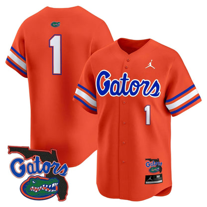Florida Gators 2024 Florida Patch Vapor Baseball Jersey - All Stitched