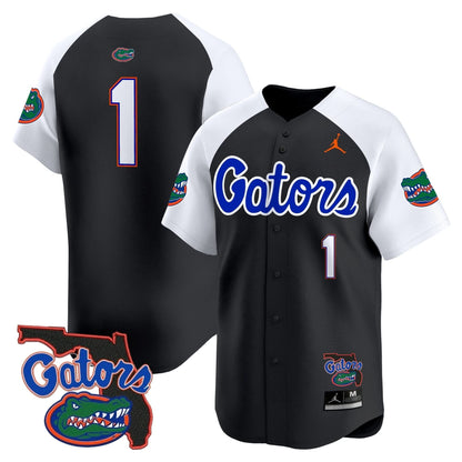 Florida Gators 2024 Florida Patch Vapor Baseball Jersey - All Stitched