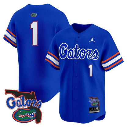 Florida Gators 2024 Florida Patch Vapor Baseball Jersey - All Stitched