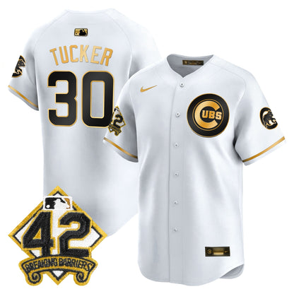 Men's Chicago Cubs 2025 Jackie Robinson Patch Vapor Premier Limited Jersey - All Stitched