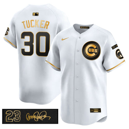 Men's Chicago Cubs 'Ryne Sandberg Tribute' Vapor Premier Limited Jersey V3 - All Stitched