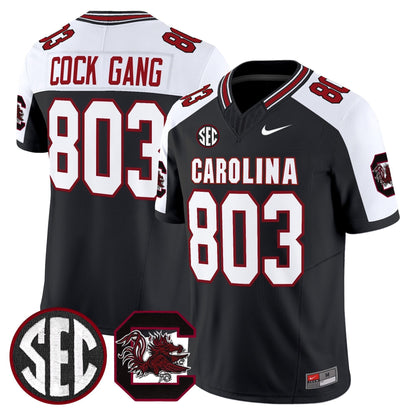 Men's South Carolina Gamecocks 'Rebrand 2026' Vapor Limited Jersey - All Stitched