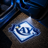 Rays 2008-18