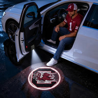 South Carolina Gamecocks