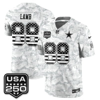 Arctic Camo